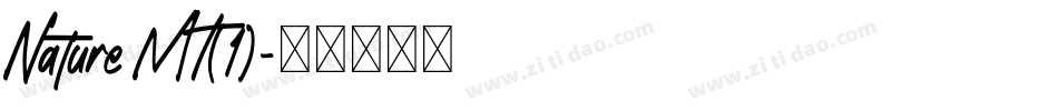 Nature MT(1)字体转换